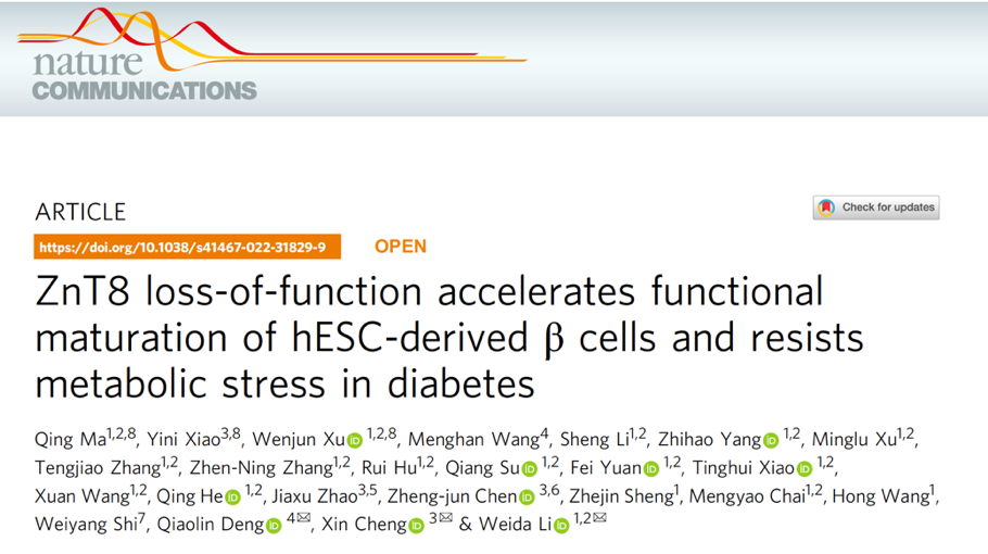 同济大学李维达团队及合作者首次通过基因编辑实现更成熟和更稳定的人多能干细胞到胰岛细胞的诱导分化技术
