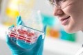解读《生物医学新技术临床研究和临床转化应用管理条例》对干细胞产业和应用的意义