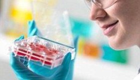 解读《生物医学新技术临床研究和临床转化应用管理条例》对干细胞产业和应用的意义 解读《生物医学新技术临床研究和临床转化应用管理条例》对干细胞产业和应用的意义