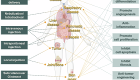 STTT:细胞外囊泡药物的前沿疗法的产业全景综述 STTT:细胞外囊泡药物的前沿疗法的产业全景综述