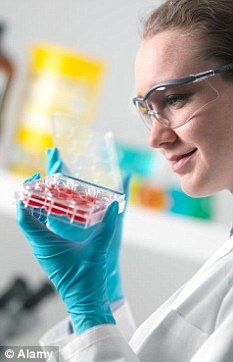 U5385P2DT20120410081156